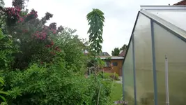 K800_28.5.2011 040.webp