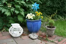 IMG_5369.webp IMG_5369.webp