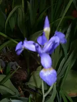 DSCI1388.webp