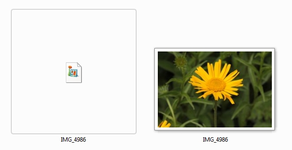 RAW.webp RAW.webp