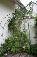 IMG_9113.webp