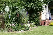 beet Juni 09.webp