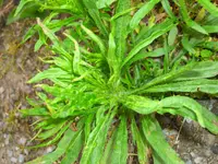 P1020167.webp