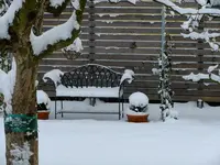 DSCF0175.webp