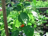 BILD0001.webp
