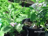BILD0003.webp