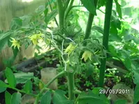 BILD0005.webp
