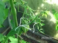 BILD0006.webp
