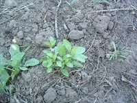 DSCF0065.webp