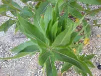 Foto0021.webp