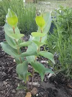 Foto0019.webp