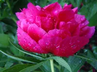 079.webp