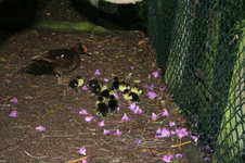 IMG_2844 - Kopie.webp