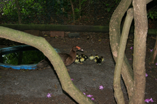 IMG_2842 - Kopie.webp