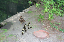 IMG_2848 - Kopie.webp