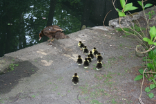 IMG_2849 - Kopie.webp