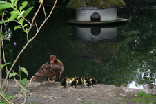 IMG_2852 - Kopie.webp