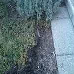 k-DSC00073.webp