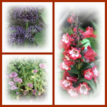 Blumencollage.webp