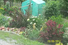 100_2839.webp