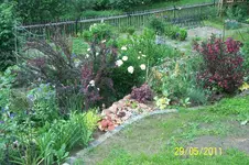 100_2840.webp