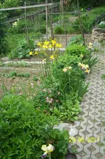 100_2841.webp