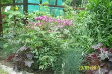 100_2842.webp