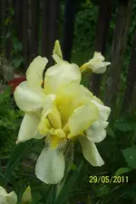 100_2848.webp