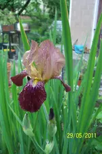 100_2853.webp