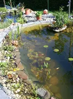 Stufe 40 cm klare Sicht_kleiner.webp