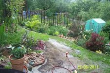 100_2854.webp