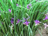 CIMG0438.webp