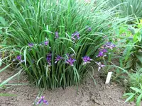 CIMG0437.webp