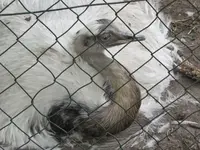 Bild 891.webp