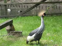 Bild 908.webp