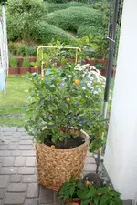 IMG_6417.webp