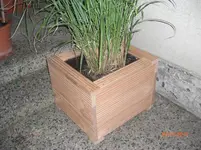 CIMG2602.webp
