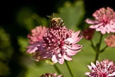 Kitzingen Landesgartenschau 29.5.11 (51 von 318).webp