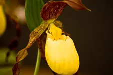 Kitzingen Landesgartenschau 29.5.11 (18 von 318).webp