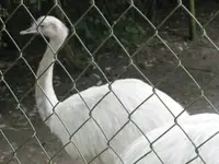 Bild 890.webp