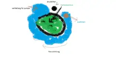 runder bachlauf.webp