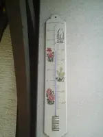 PIC01013.webp
