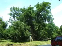 BILD0615.webp