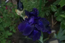 DSC05287.webp