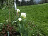 BILD0373.webp
