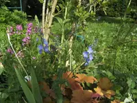 BILD0521.webp