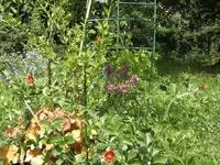 BILD0550.webp