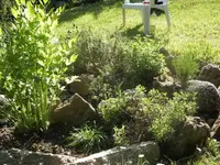 BILD0433.webp