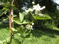 BILD0559.webp