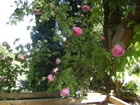 BILD0570.webp